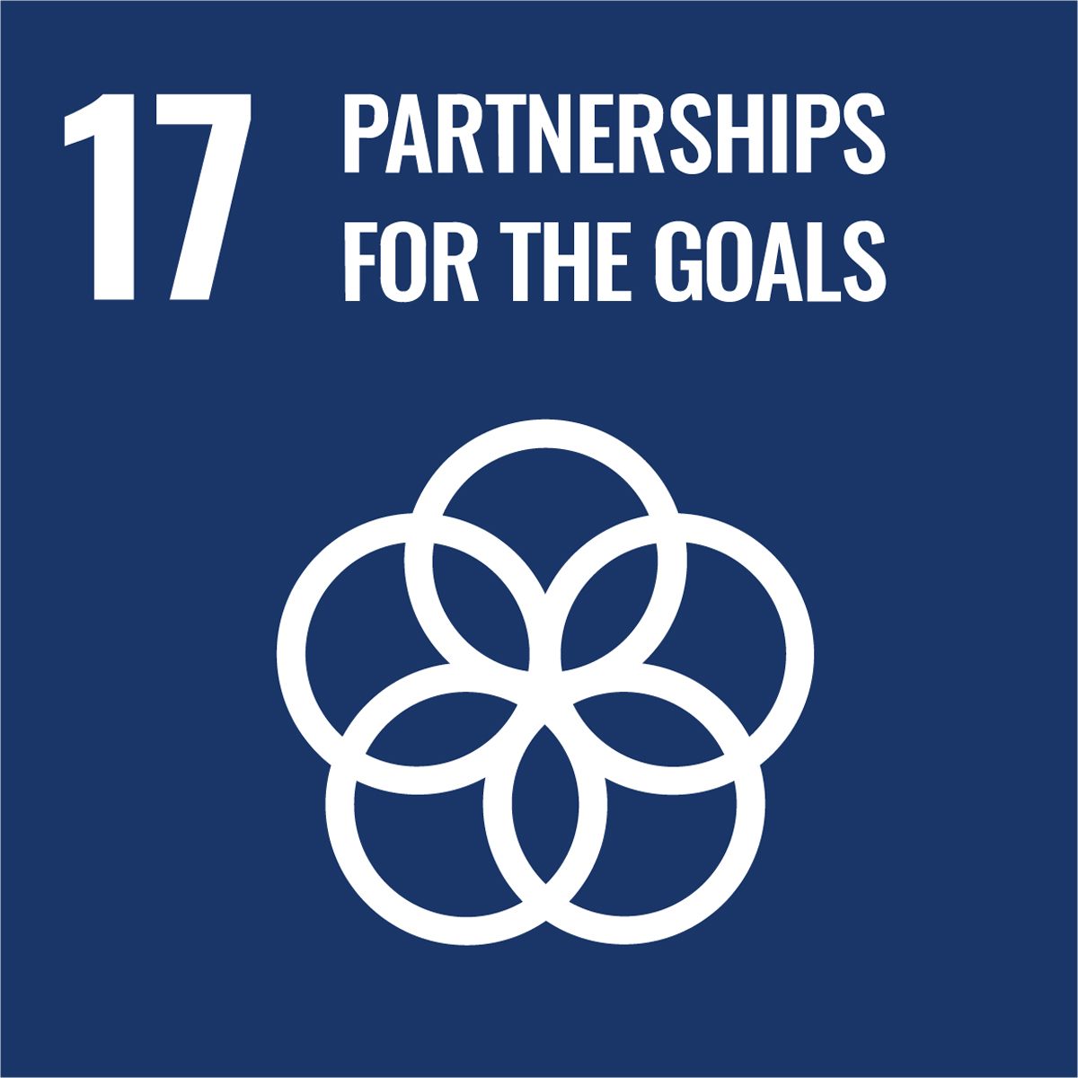 SDG Goal 17 SDG Goal 17